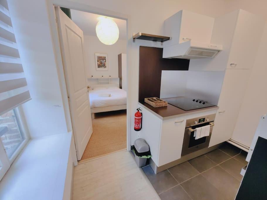 Appartement Lumineux Et Calme Parking Gratuit Lille Ngoại thất bức ảnh