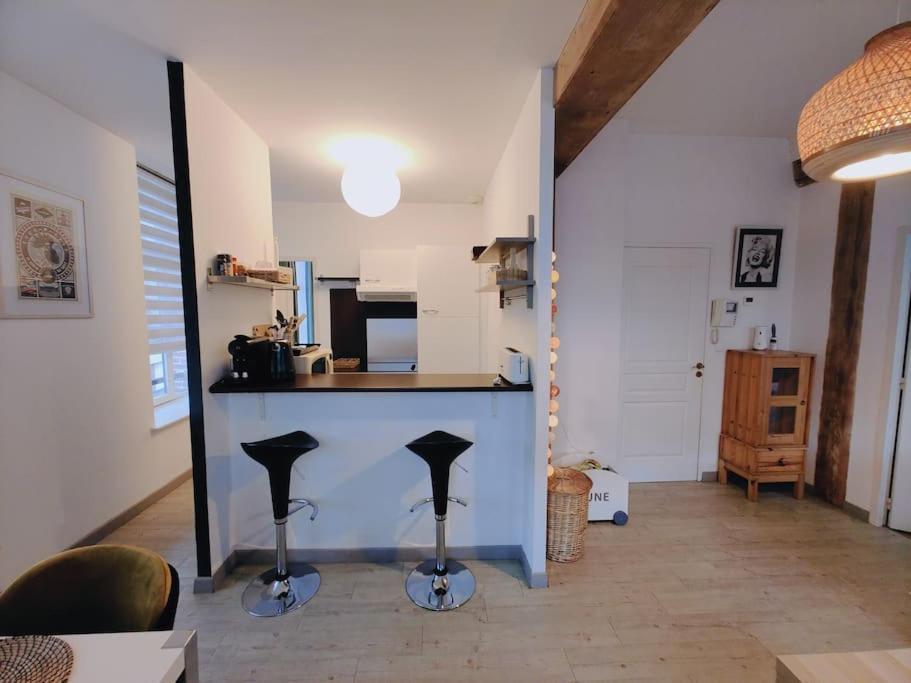 Appartement Lumineux Et Calme Parking Gratuit Lille Ngoại thất bức ảnh